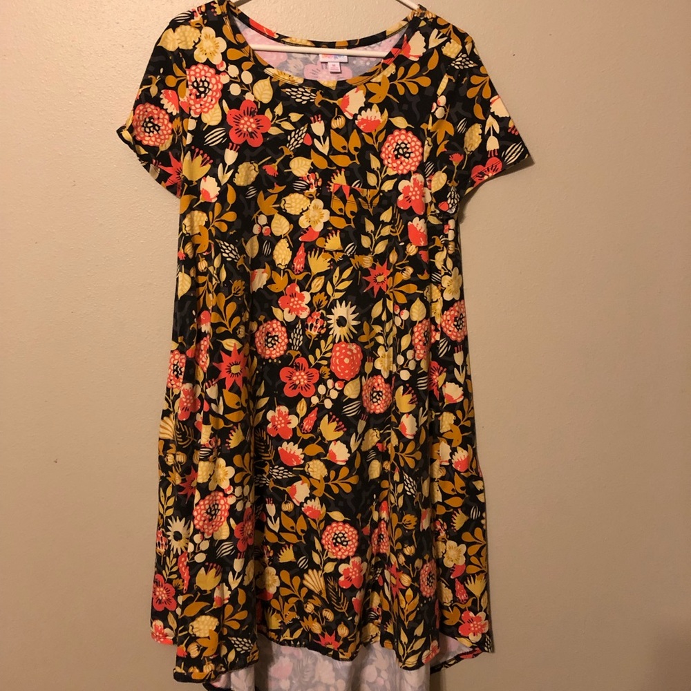 LulaRoe Carly Dress